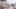 Standard Bild_0009_IMG_6638_01